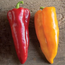 50+ CORNO DI TORO MIX SEEDS NON-GMO FRESH FOR YOUR GARDEN