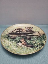 Hamilton Collection Woodland Encounters Want to Play Raccoons by Greg Giordano