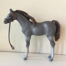 our generation morgan foal