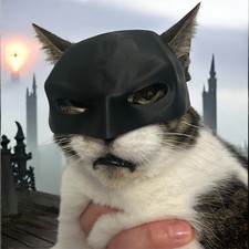 Bat Cat Helmet Mask Batman For Cat