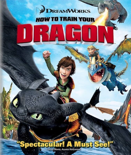 How to Train Your Dragon DVD ** DISC ONLY ** G
