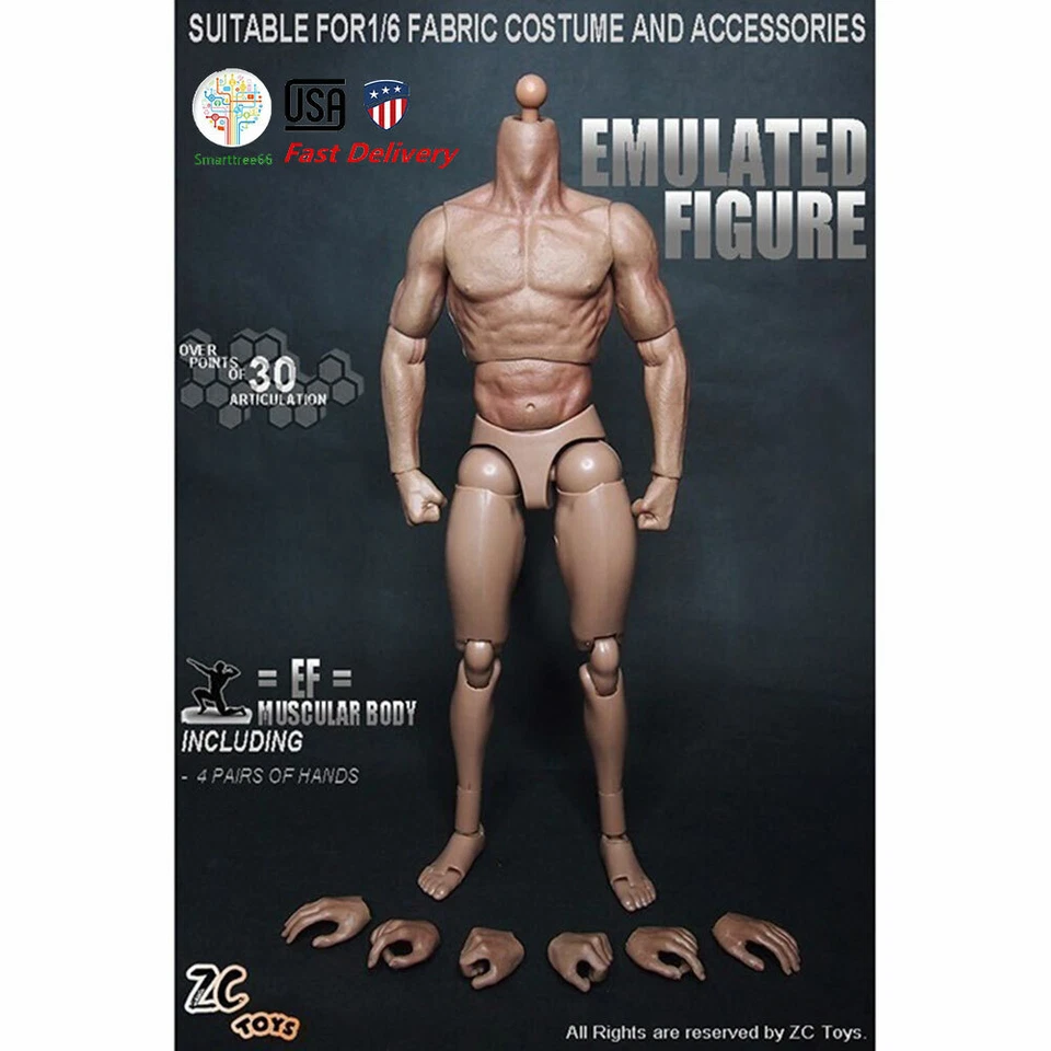 ZC Toys Escala 1/6 12" Hombre Desnudo Musculoso Figura Cuerpo Modelo Ajuste HT Cabeza Escultura Foto 2 de 4