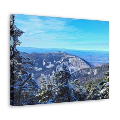 Alpine Zone- Canvas Art Print