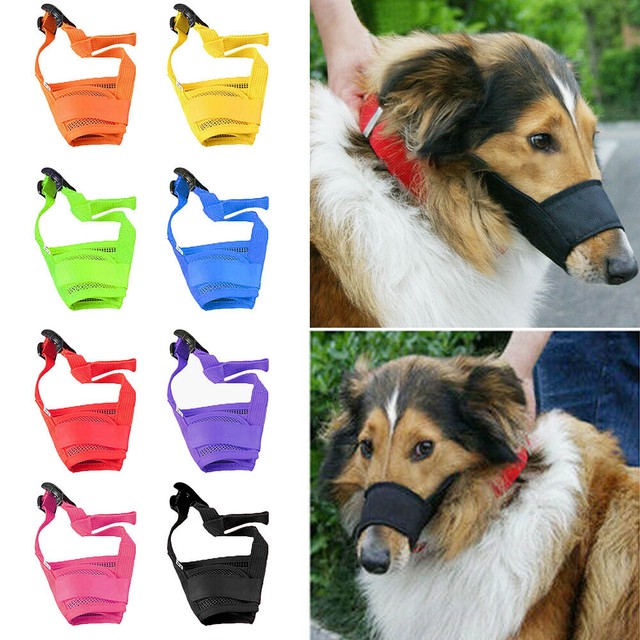 puppy muzzle for biting