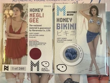 Juicy Honey Plus 27 Suzume Mino Honey Negligee And Honey Bikini
