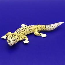 Mini figurine léopard gecko kaiyodo chocolat oeuf animal chocolat japonais rare