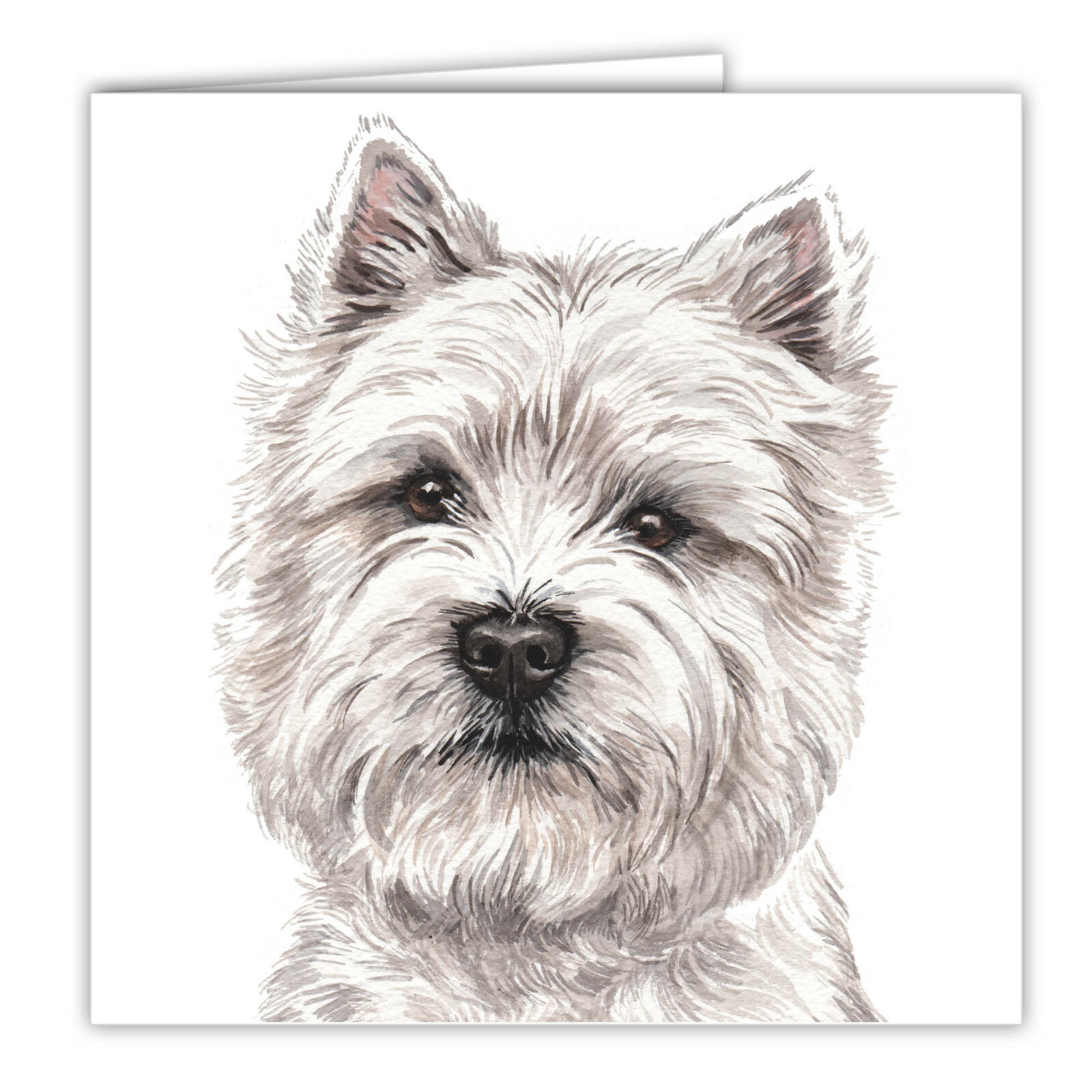 West Highland Terrier greetings card dog blank card dogs Westie Westies Terriers