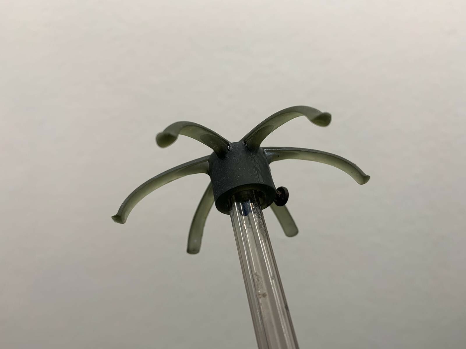 Foto 1 di 5