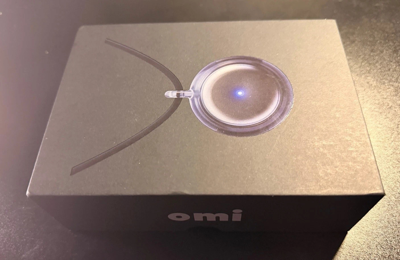 Omi AI Wearable Transcription Hardware Silver ChatGPT New Sealed