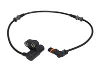 Sensor, Raddrehzahl Delphi SS20292 Links