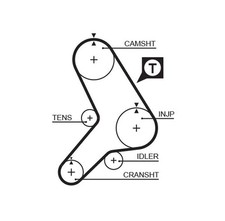 Courroie de distribution Fiat DUCATO