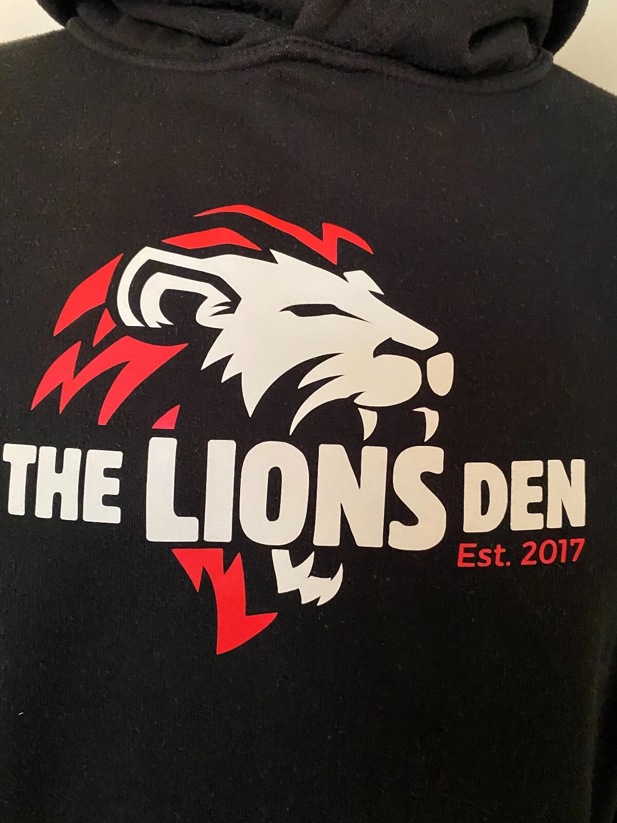 VETEMENTS Felpa con cappuccio Ultimate Everyday Apparel da uomo The Lions stampa den colore nero TAGLIA M