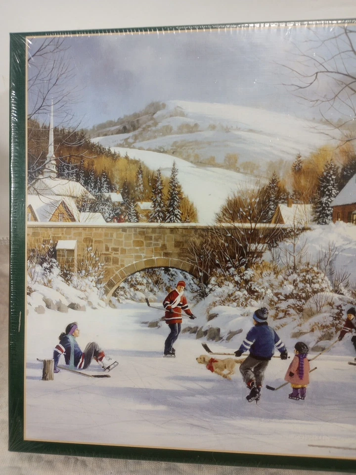 Rompecabezas Cobble Hill 1000 piezas hockey sobre lago congelado 80059 deportes de invierno Foto 4 de 4