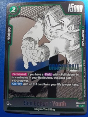 Son Gohan: Youth Saiyan/ Earthling FB04*060 #52626
