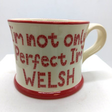 Moorland Pottery Cymru Ware Mug 'Im not only Perfect Im Welsh' Red New- Seconds