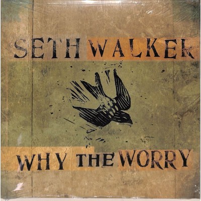 Seth Walker / WHY THE WORRY (LP) / THE ROYAL POTATO FAMILY / RPF2504 / LP