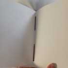 Picture 8 of 8