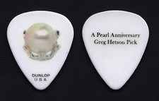 Bad Religion Greg Hetson Pearl Guitar Pick - 2013 Tour