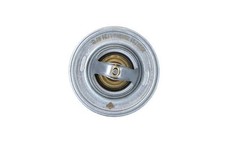 Thermostat BMW 2500