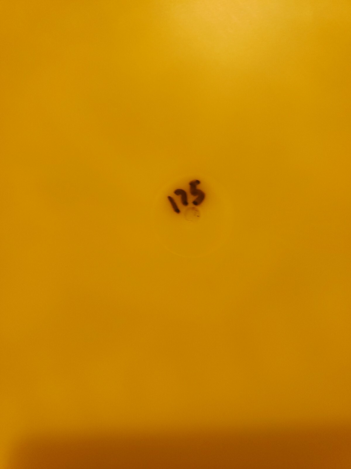 Legacy Bandit Rare Disc Golf