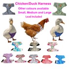 Chicken Harness Hen Harness Duck Harness with lead adjustable handmade in UK 
