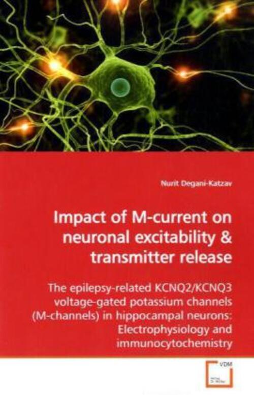 Thumbnail - Nurit Degani-katzav | Impact Of M-current On Neuronal Excitability |