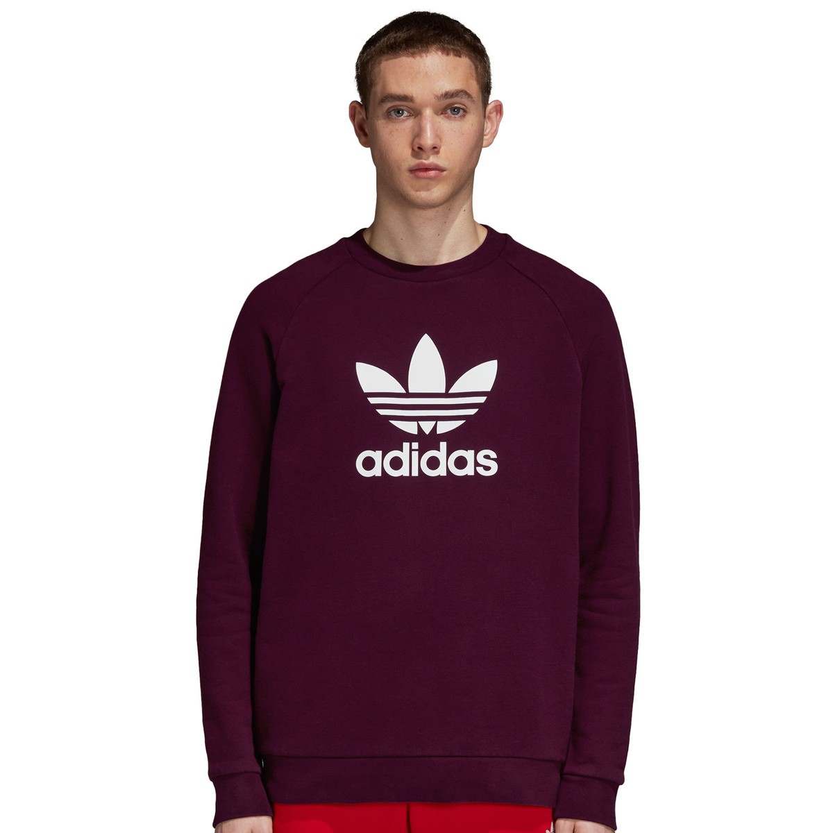 スウェット・トレーナー adidas SWEATSHIRTS (JI9641 MAROON) adidas Originals Trefoil Crew Outline Herren Sweatshirt