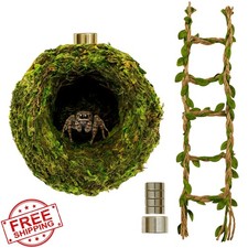 Jumping Spider Hideout Moss Rope Bridge Enclosure Decor Climbing Hiding