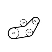 Continental Ctam Wasserpumpe + Keilrippenriemensatz U.A. FüR Seat, Vw