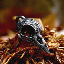 For Men Stainless Steel Norse Viking Raven Skull Pendant Necklace Chain Jewelry