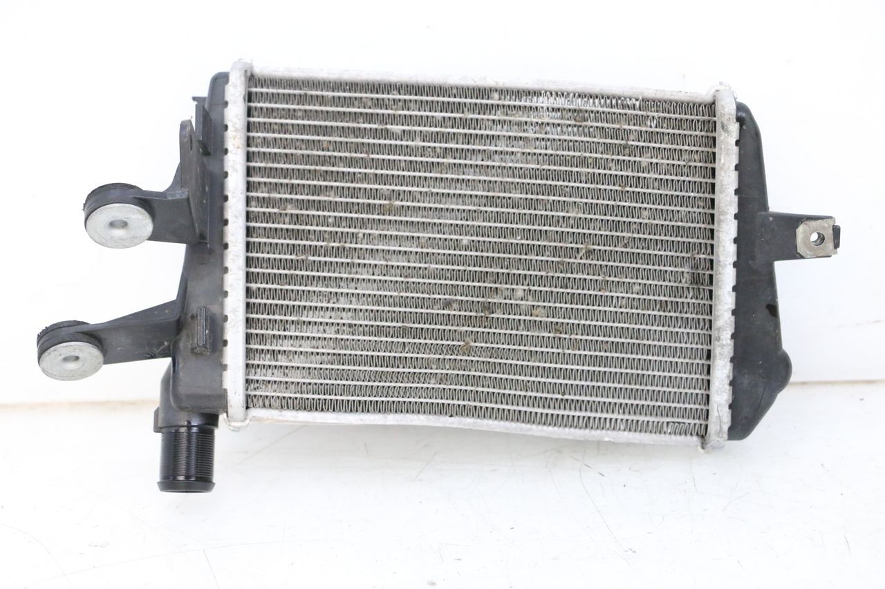 RADIATORE SINISTRA - BMW R GS 1250 (2021 - 2024)