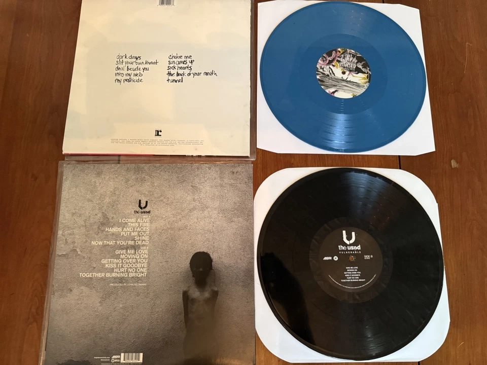 The Used Shallow Believer RSD vinyl + VULNERABLE - Image 2 of 2