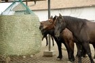Bild 3 von 4