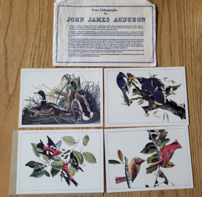 Set 4 Lithographs 5x7 by John James Audubon '' Birds of America'' Blue Jay Mallard
