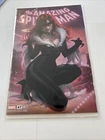 Amazing Spider-Man #47 Vol. 7 2024 Marvel Comic LEIRIX TD Mary Jane/Black Cat