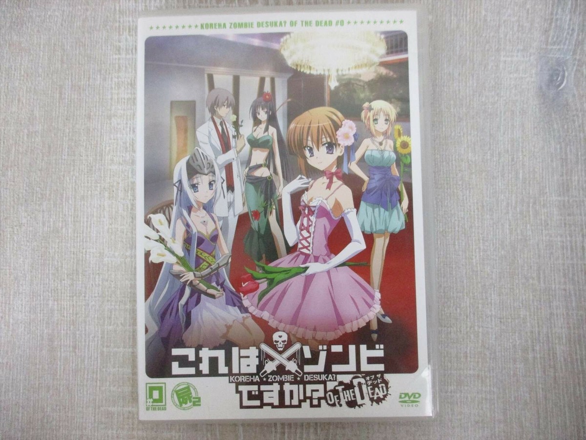 KORE WA ZOMBIE DESU KA 10 KOREZOM Ltd Novel w/DVD Japan Book No