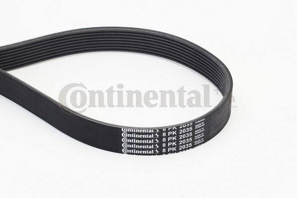 Keilrippenriemen Continental Ctam 8PK2035 FÜR Mercedes Poly V Riemen-image