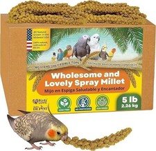 Birds LOVE Wholesome  Lovely Spray Millet - Natural Treat for Birds - 5/25 lbs