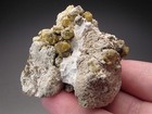 Vesuvianite, Sierra de Cruces, Coahuila, Mexico — photo 6