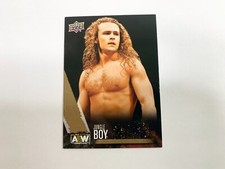Jungle Boy Gold 2021 Upper Deck AEW Wrestling Card # 23