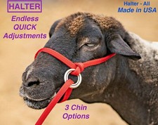 Halter All MEDIUM beef dairy cow, ave steer - Endless Adjustable 20 colors USA