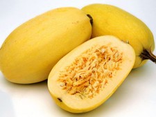 Squash Seed: Spaghetti Squash Seeds Fresh Seed