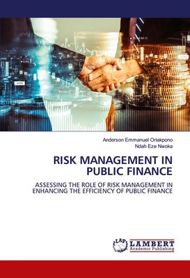 RISK MANAGEMENT IN PUBLIC FINANCE Anderson Emmanuel Oriakpono (u. a.) Buch 2025