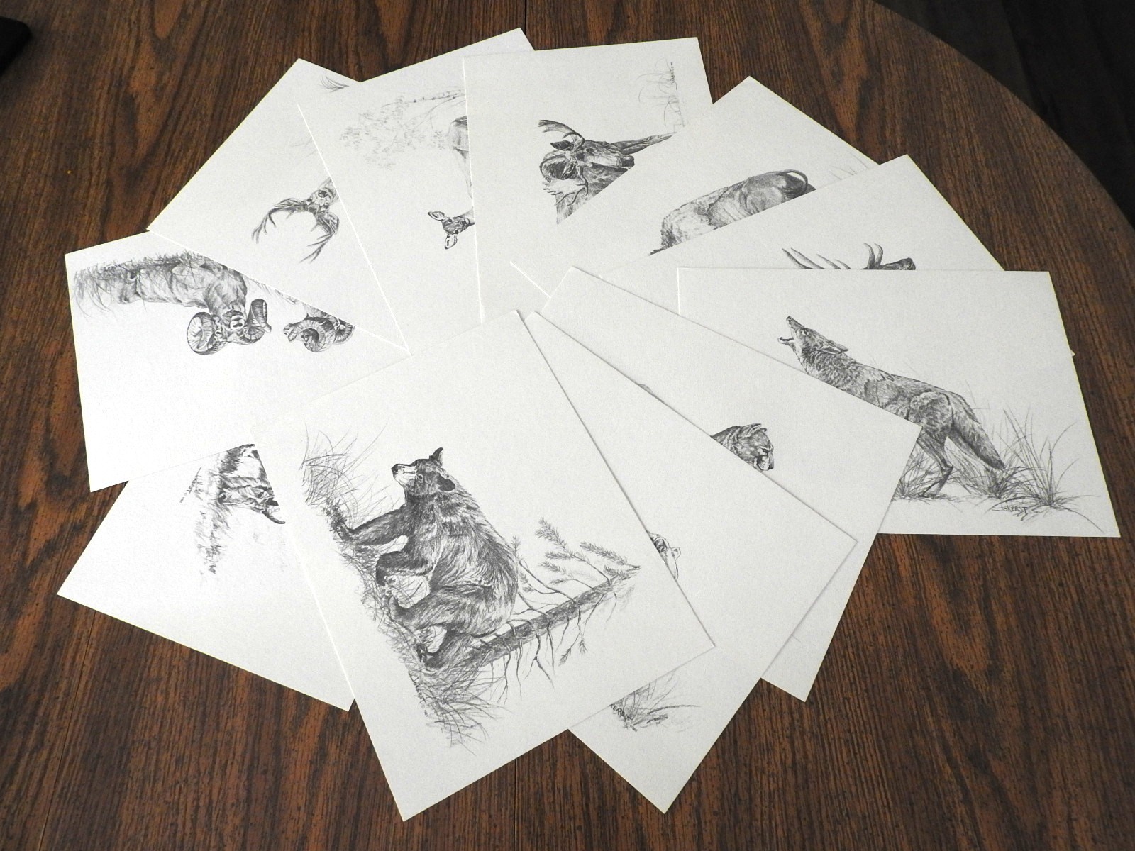 1983 Western Wildlife Portfolio - Eleven 9x12