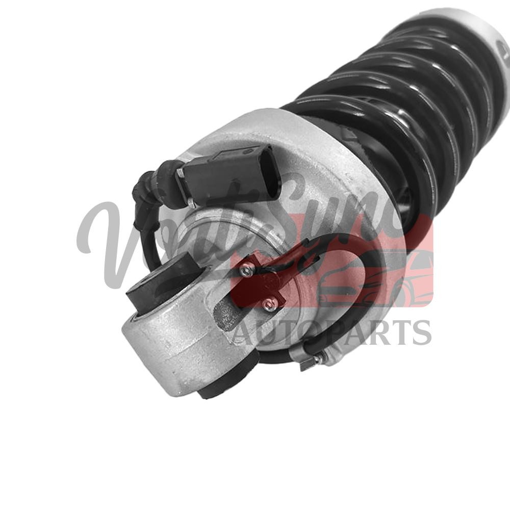 Audi R8 2017-2020 Rear Left Shock absorbers Pair P/N 420512019M