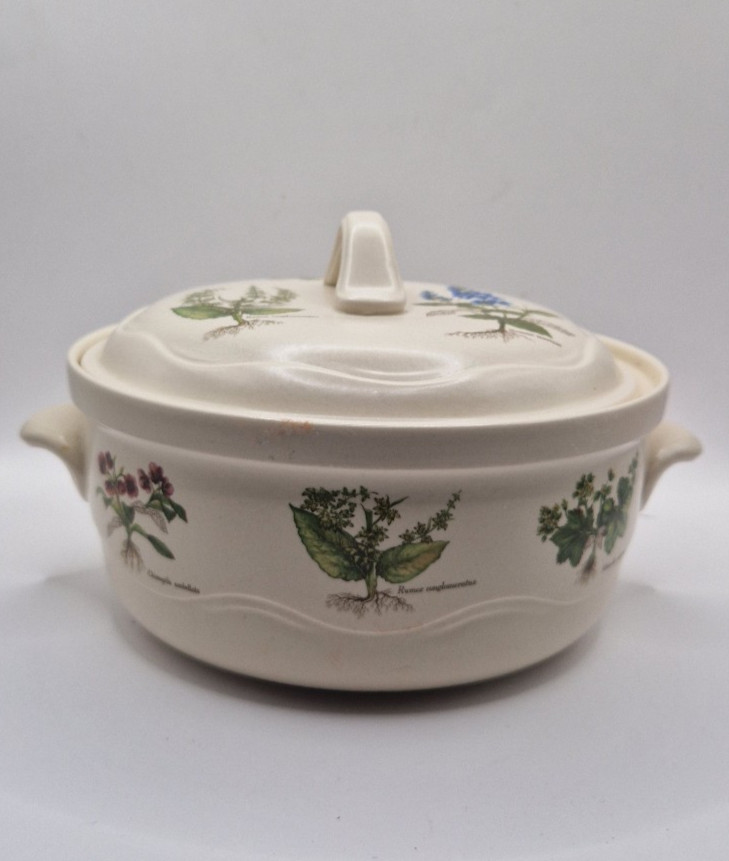 Poole Country Lane Tureen - nunca usado