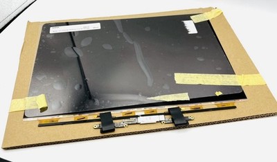 Macbook Pro 13'' A1989 A2159 A2251 A2289 Display Bildschirm Nur Display