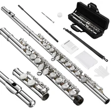 POGOLAB Flutes, Closed Hole C 16 Keys Flute Instrument, Student Flute for