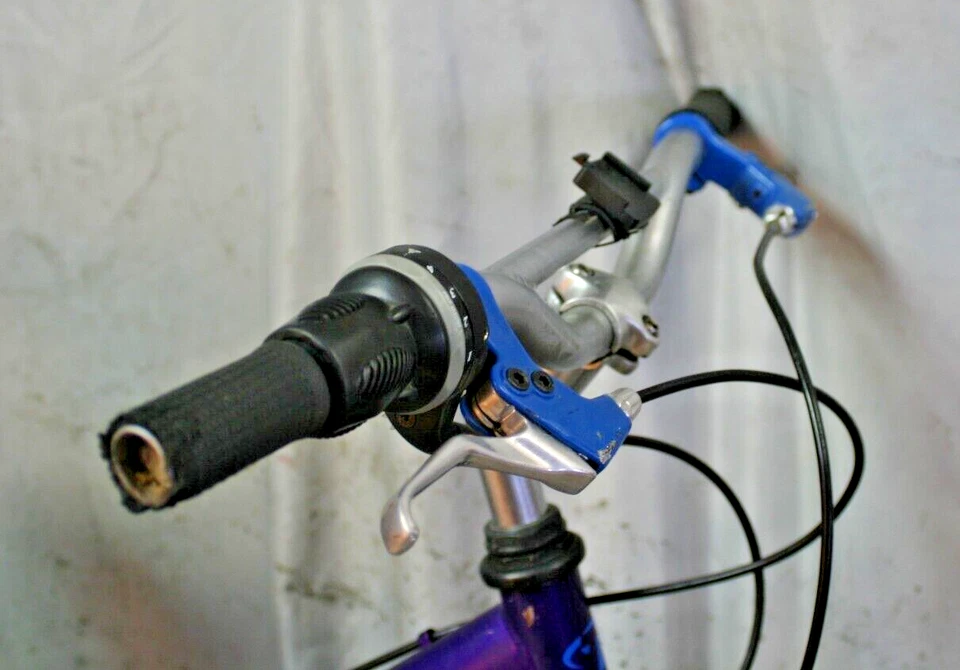 2006 Trek Mountain Lion 60 20" Bicicleta para niños 6 velocidades Shimano Purple Steel ¡Envíos a EE. UU.! Foto 3 de 4