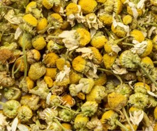 Chamomile